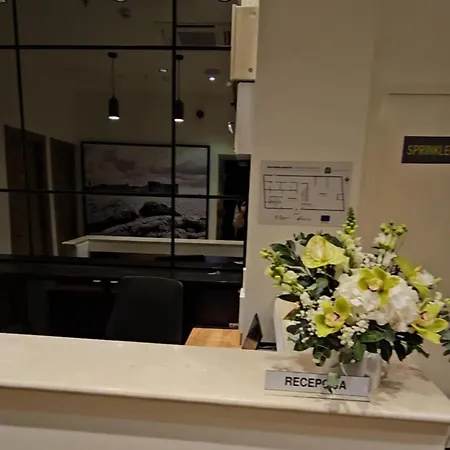 Old Town Akademis Gariste 住宿加早餐酒店 杜布罗夫尼克